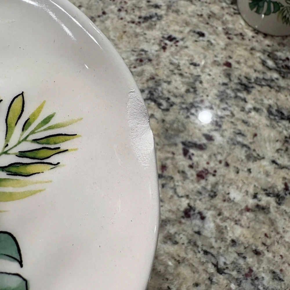 Pier 1 “L” mug and appetizer plate New Tropical foliage design Dish/Micro Safe